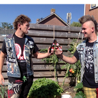 Daan Peeters的照片