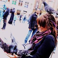 Marlou Schaap's Photo