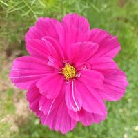 Fabienne Dubos的照片