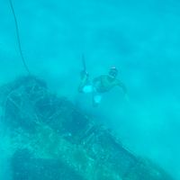 Fabio Luchetti's Photo