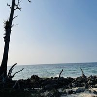 Photos de Parishis Sishodiya