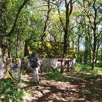 Denis Debès的照片