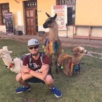 Georg Martin Pruckner的照片