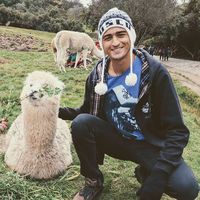 Luis Fernando Costa Trindade's Photo