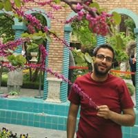 Hamed Bazi's Photo