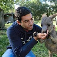 Aviv Rotter的照片