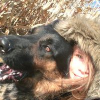 Kata Korcsog's Photo