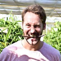 Julien Guion的照片