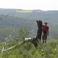 Etai Kahana的照片