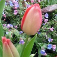 Фотографии пользователя Anja Krick