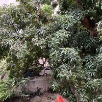 Fotos de Gabriela  Polari