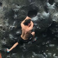 Juan Felipe  Guinovart Higuita's Photo