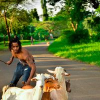 Allen Kiruku's Photo