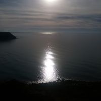 Anto Murtas的照片