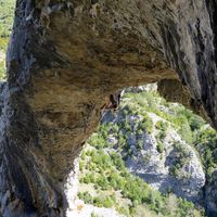 David Giné Blasco's Photo