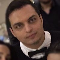 Meysam Sattari的照片