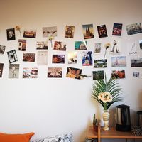 Le foto di Jasmine Li