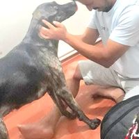 Shay Bebagar's Photo