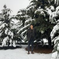 Alireza Tabatabaei的照片