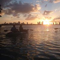 Gustavo CS!'s Photo