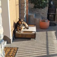 Sandra Bettinelli的照片