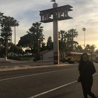 Abeer Hafez的照片