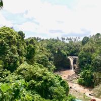 Фотографии пользователя Lucia Arena