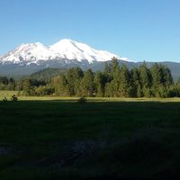 Ten Sun / Forrest's Photo