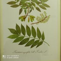 Bakary DIAITE的照片