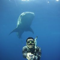 Le foto di Jefri KaLangit