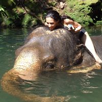 Alebrije Cósmico的照片