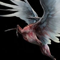 Fotos de Arina Drozdova