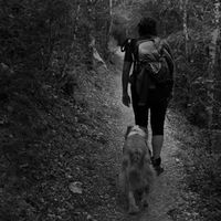 Eliboxe Dalmasso的照片