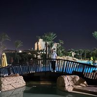 Thomas Elmer's Photo