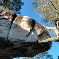 Bart de Rooy的照片