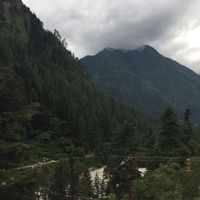 Vallari Gupta's Photo