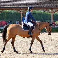 Michelangelo Graziano的照片