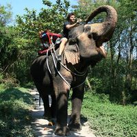 Gianluca Russo's Photo