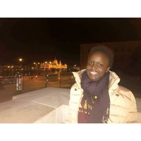 Fotos de Rainette  Ngure