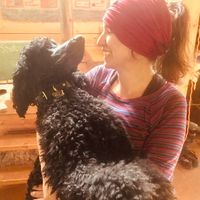 Fotos de Sharon Dufresne