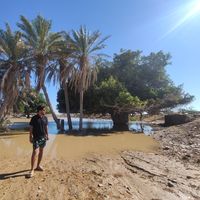 Saeid Shams的照片