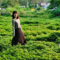 Kristin Yang的照片