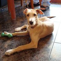 Photos de PARTYCRACKER