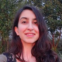 Parastoo Shirani的照片