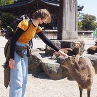 Lina Hävecker的照片