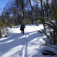 Adela Bernardis的照片