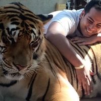 Fareez Joulay的照片