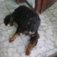 Matilde Rama的照片