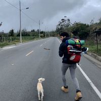 Juan Fonnegra的照片