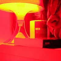 Miguel Rodrigues's Photo